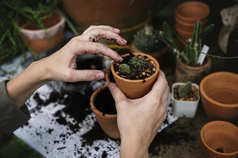 Indoor Gardening