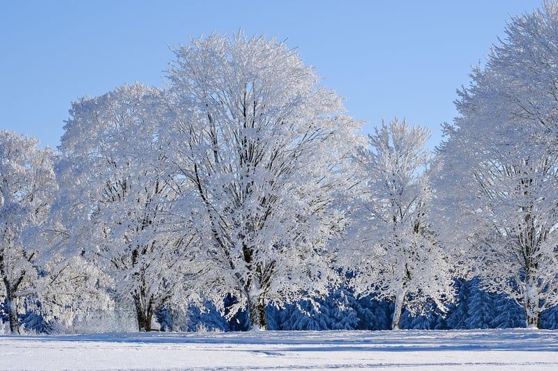 Winter Snow